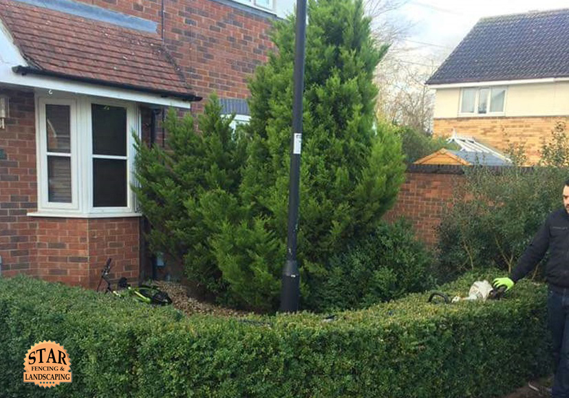 Star fencing and landscaping fencing