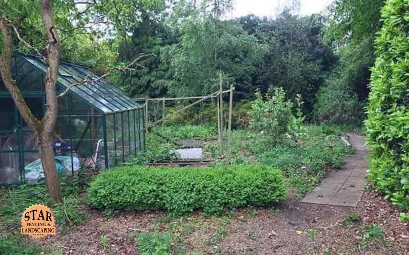 Star fencing and landscaping landscape