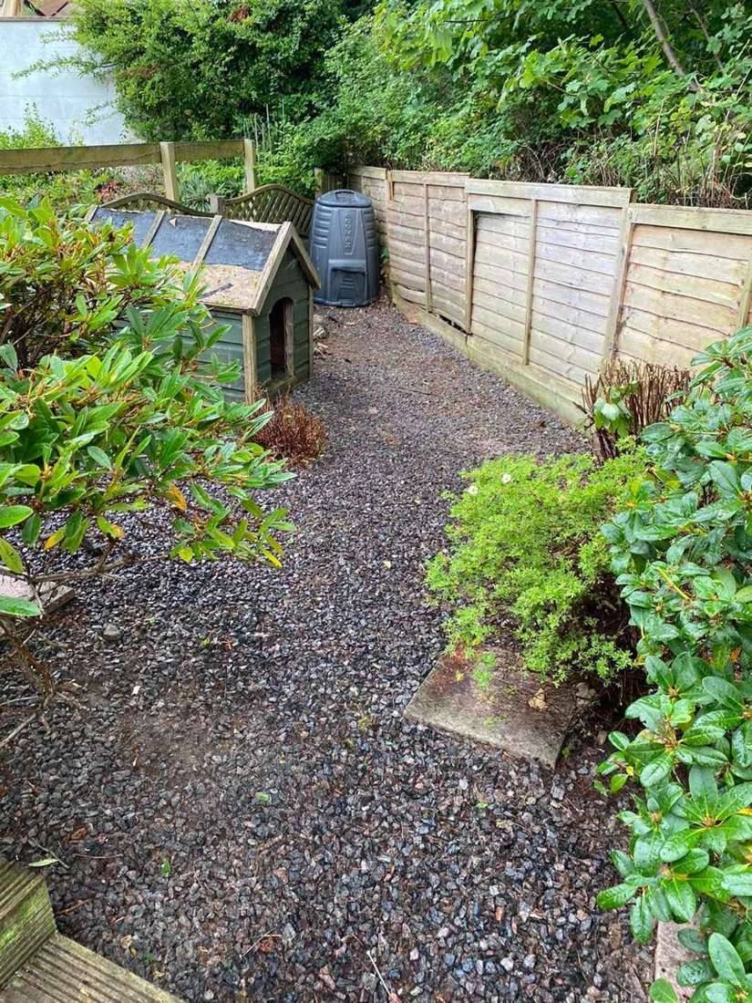 Overgrown shrubs spilling onto a gravel side garden