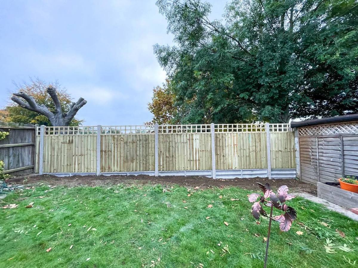 New pale panel fence with a trellis top in the same garden