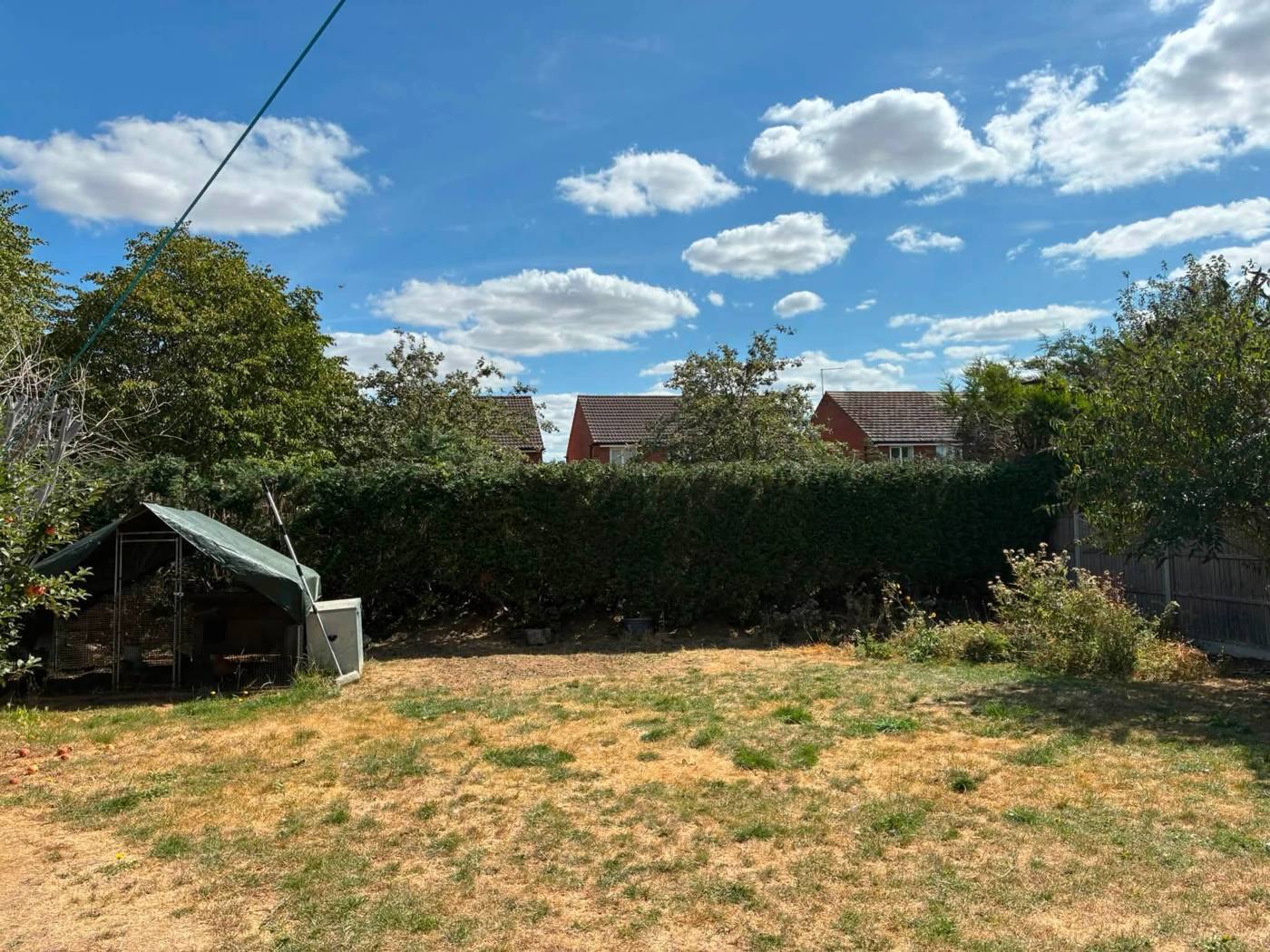 The same hedge reduced, with house roofs visible above it