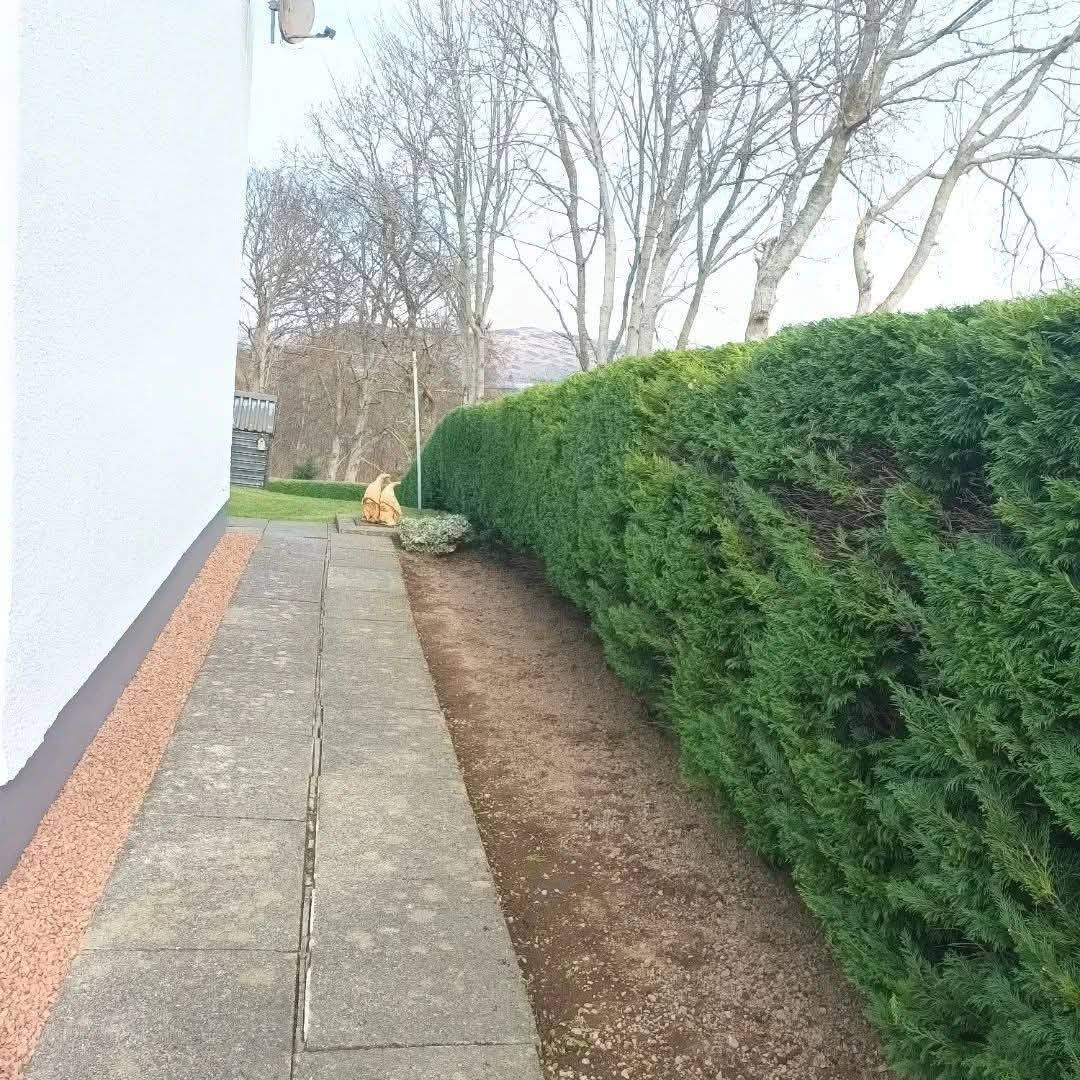 The same side path with the hedge faced and the ground cleared