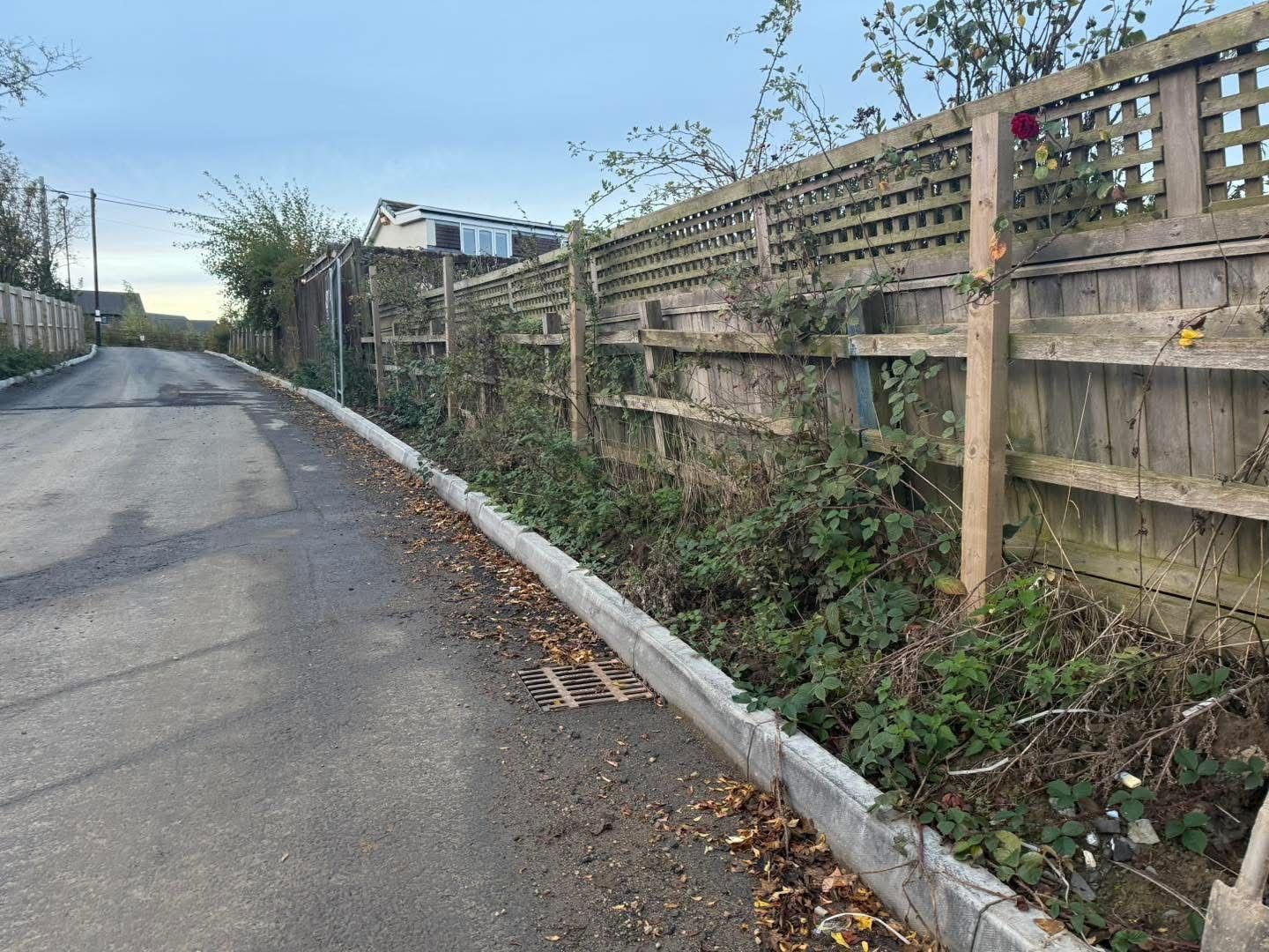 Overgrown lattice fence along a lane before it was replaced