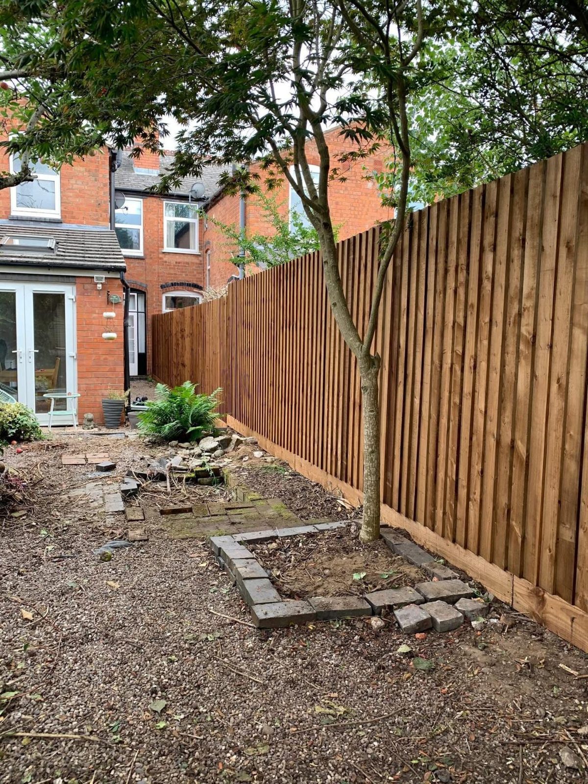 New vertical-board fence with a young tree left in place