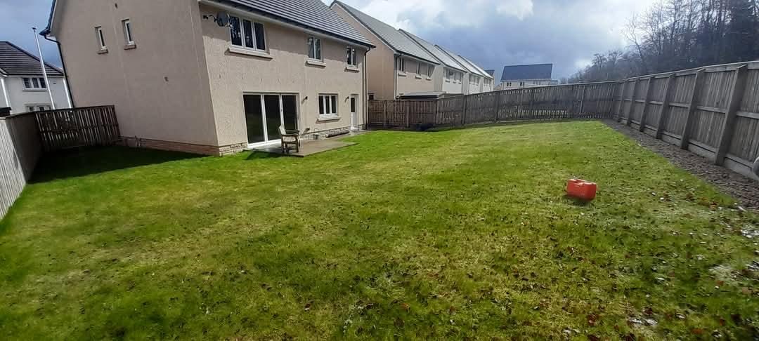 Lawn before the garden was landscaped