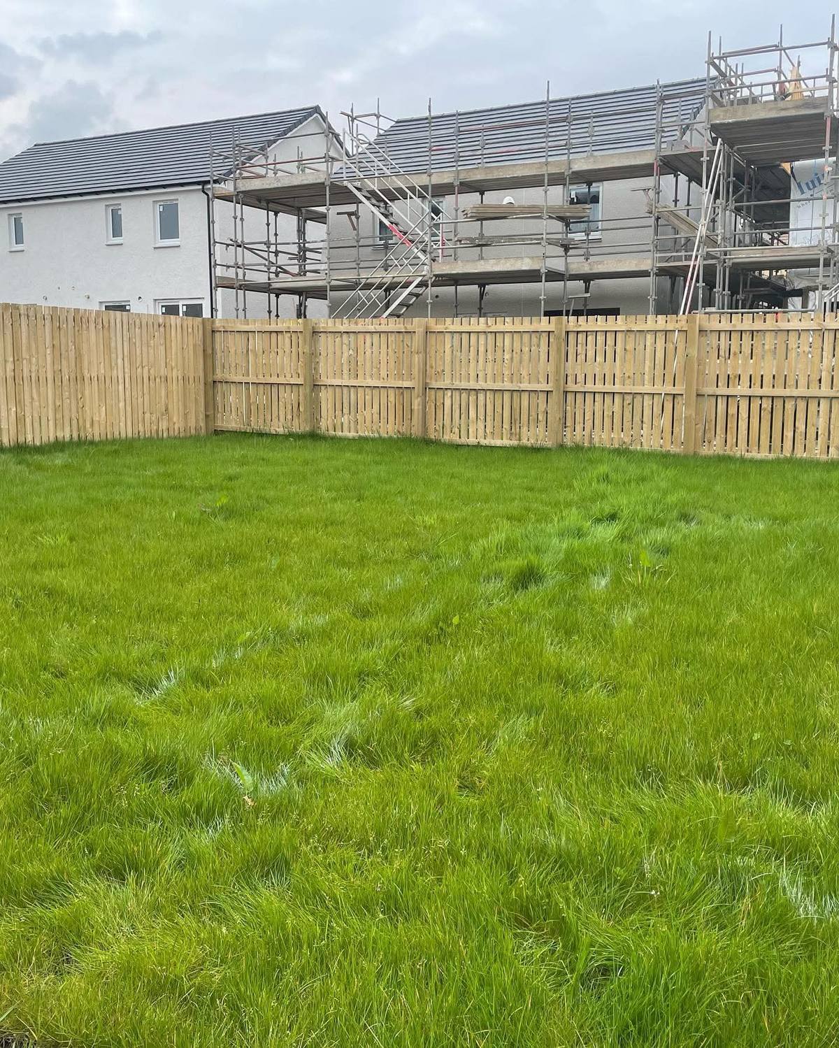 New lawn in front of a close-board fence