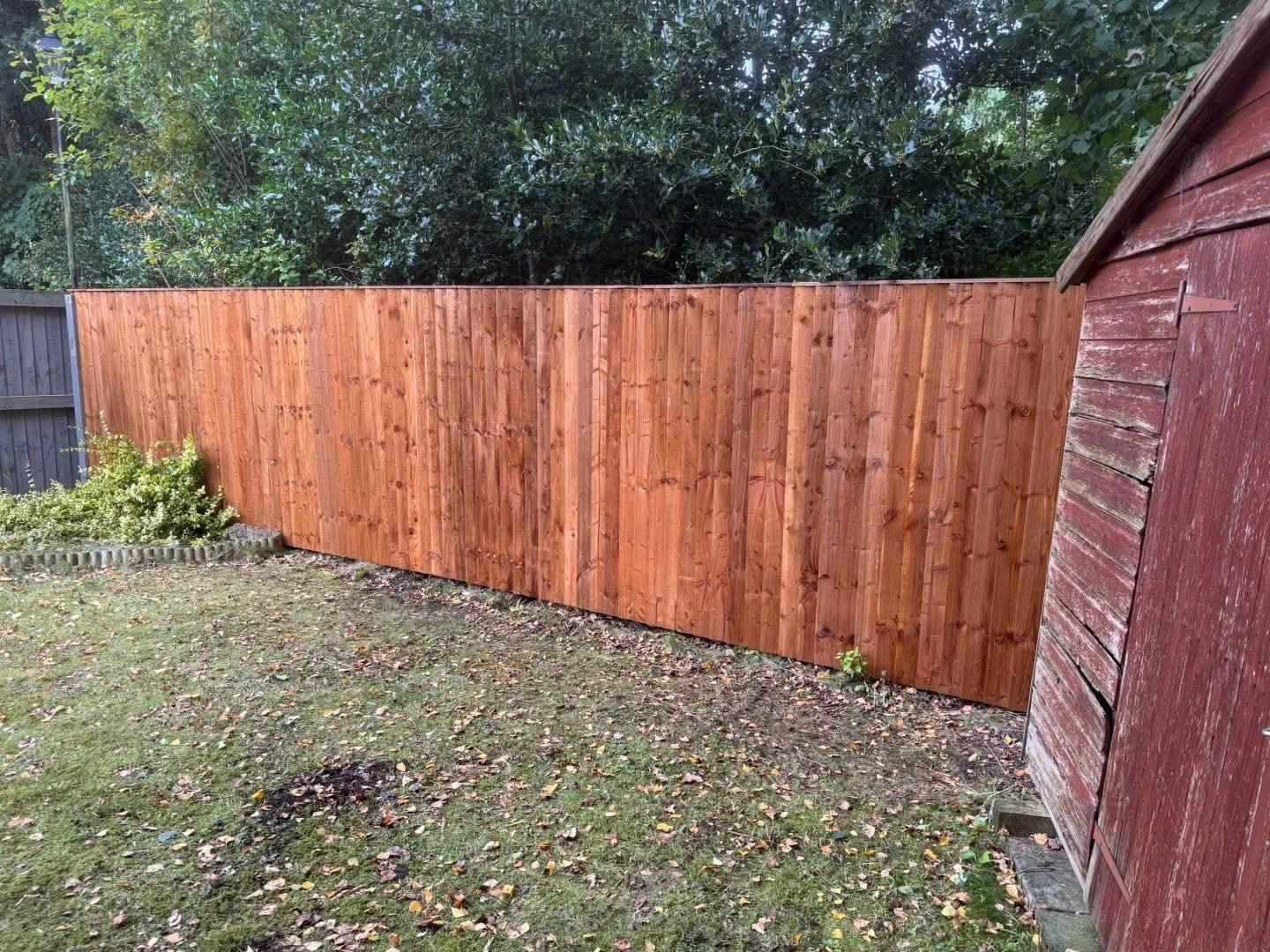 New closeboard fence beside the same red shed