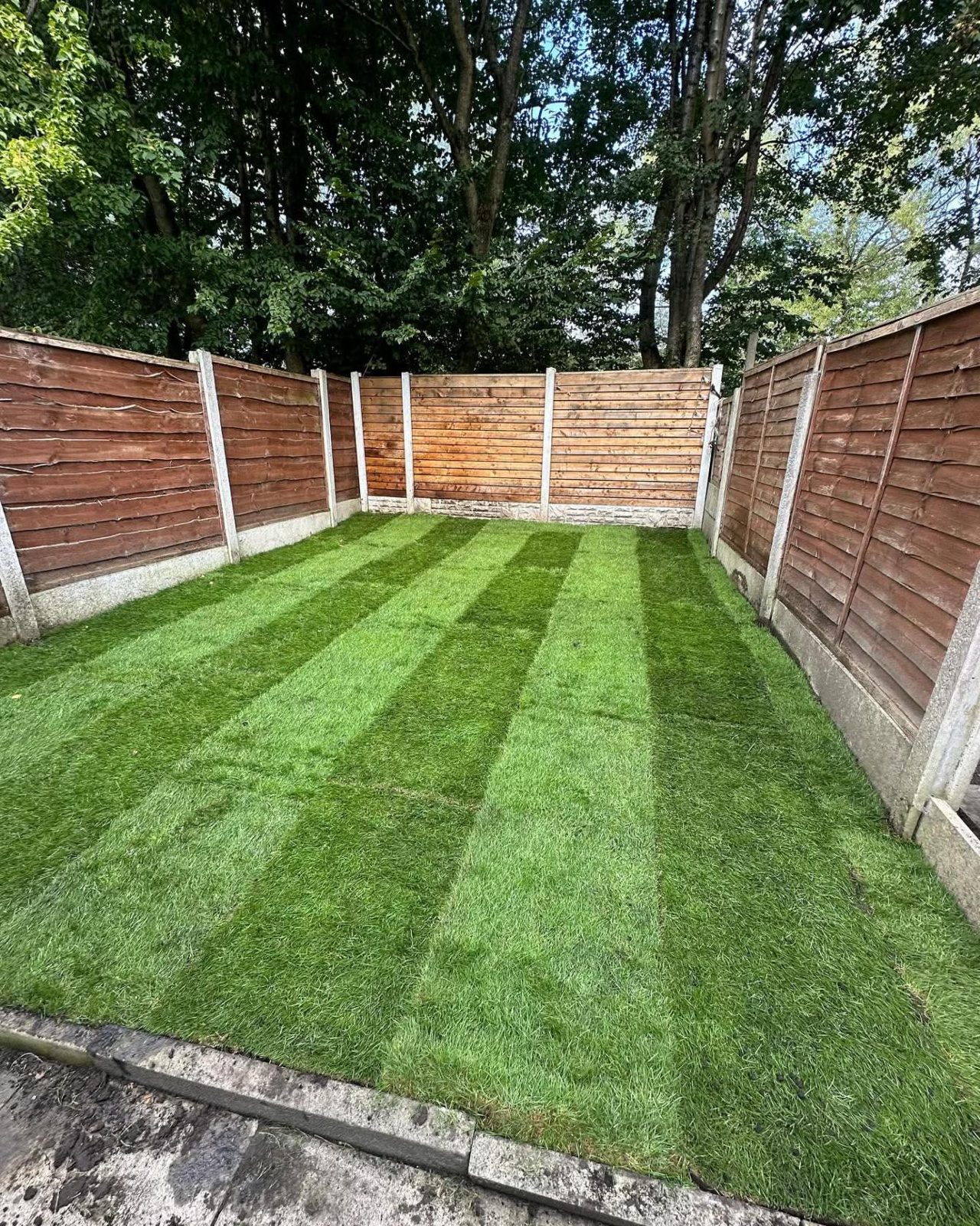 Striped artificial grass inside the same panel fence